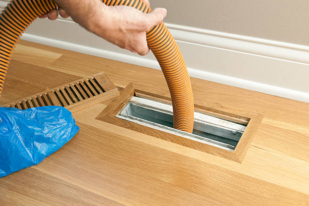 Best Affordable Air Duct Cleaning  in Elmwood Park, IL
