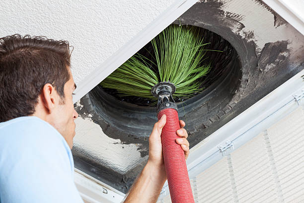 Best Home Air Vent Cleaning  in Elmwood Park, IL